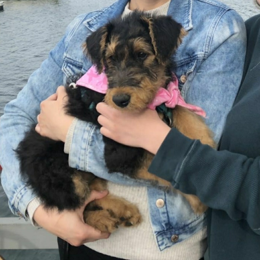 Meet your Posher, Rachel